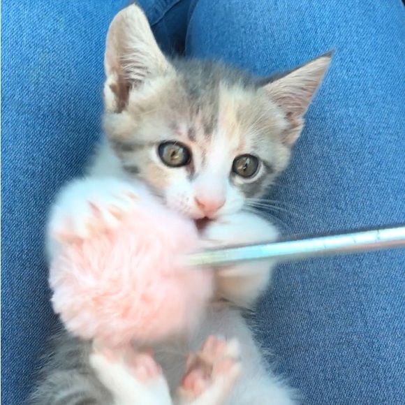 Meet your Posher, Maria - Picture 1 of 6